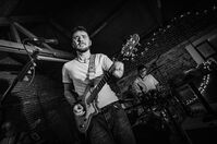 galley image -img/wild/thumbs/8.jpg